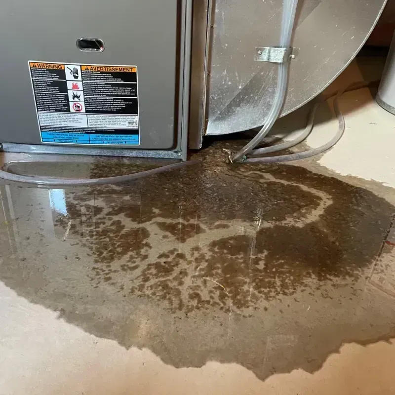 Appliance Leak Cleanup in Clarkson, NY